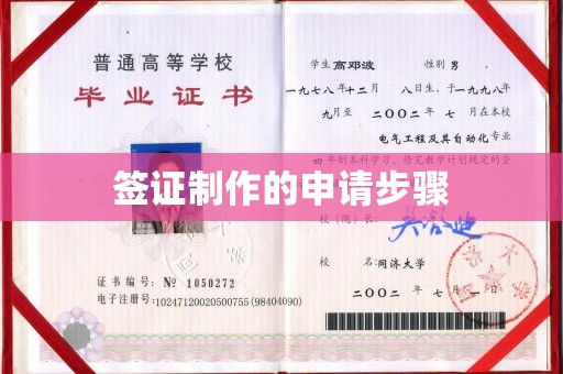 江源签证制作的申请步骤