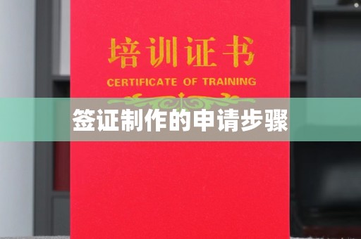 江源签证制作的申请步骤