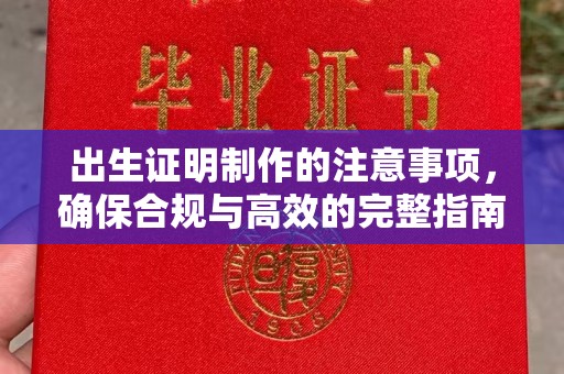 江源出生证明制作的注意事项，确保合规与高效的完整指南