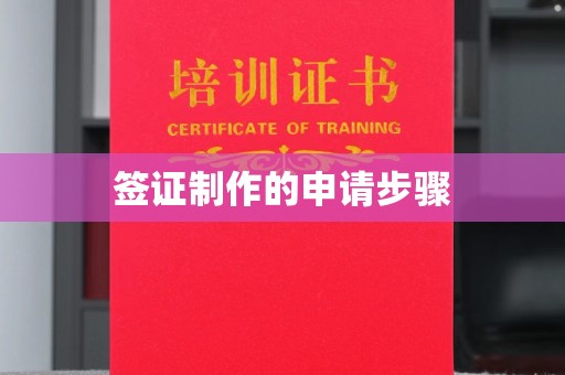江源签证制作的申请步骤