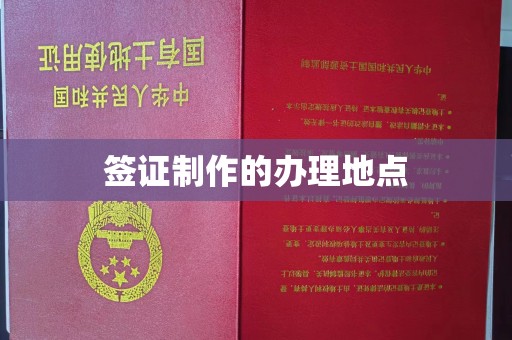 江源签证制作的办理地点