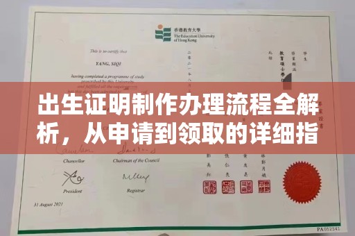 江源出生证明制作办理流程全解析，从申请到领取的详细指南